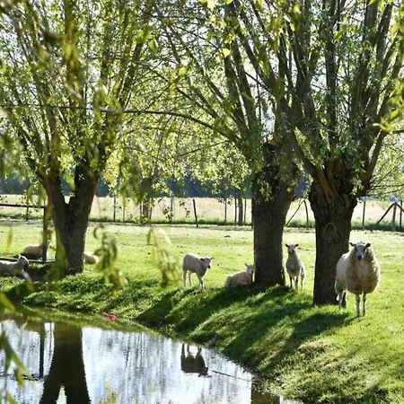 Apartment Scenic Countryside