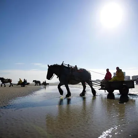 Scenic Countryside Daire