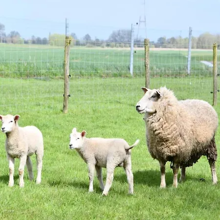 Daire Scenic Countryside