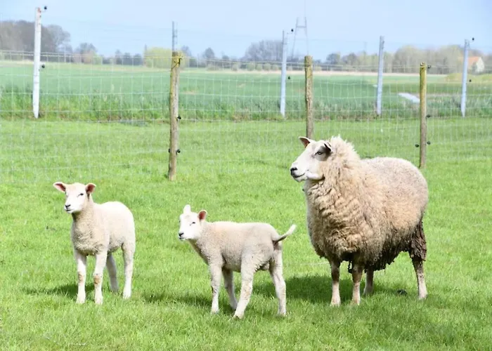 דירה Scenic Countryside