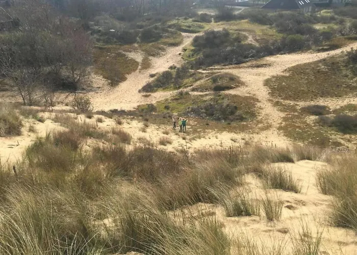 דירה Scenic Countryside ניופורט