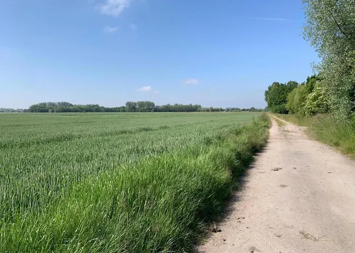 Scenic Countryside * ניופורט