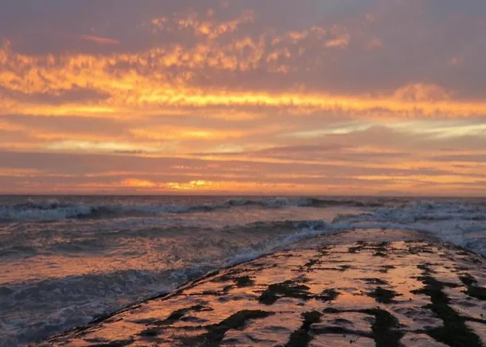 Scenic Countryside דירה ניופורט