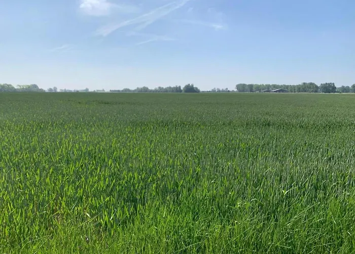 דירה Scenic Countryside ניופורט