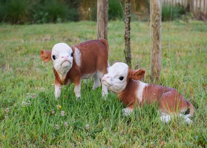 Scenic Countryside ניופורט